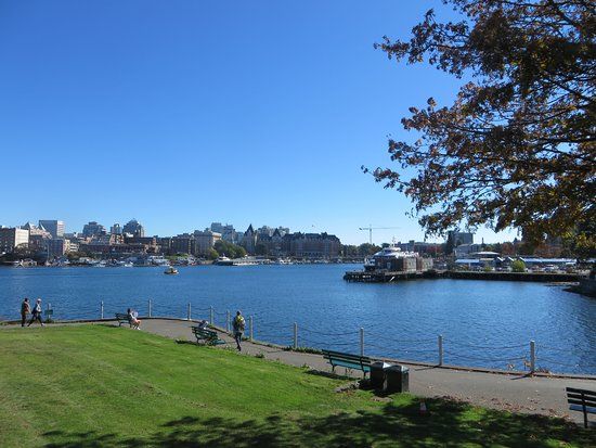 David Foster Harbour Pathway